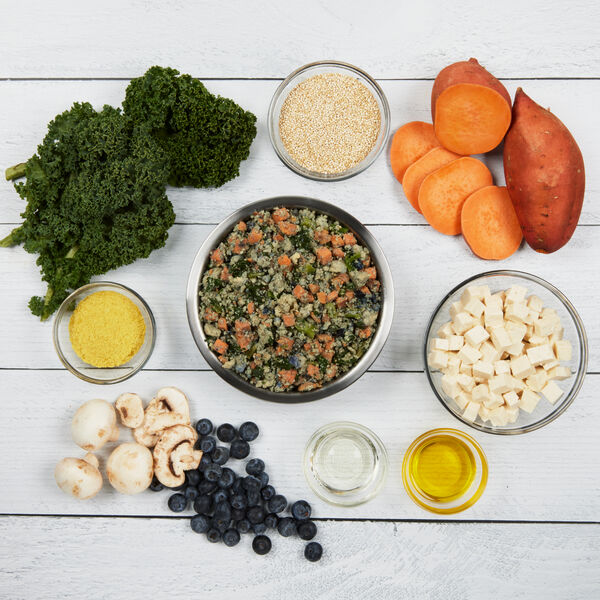 Tofu & Quinoa Recipe
